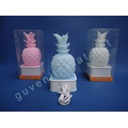 IŞIKLI ANANAS USB'Lİ