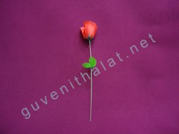 TEKLİ KOKULU GÜL